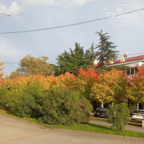 фото из отзыва ID 2739188