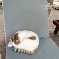 фото из отзыва ID 2739594