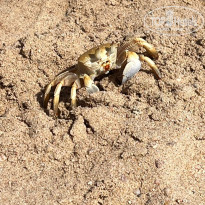 фото из отзыва ID 2737256