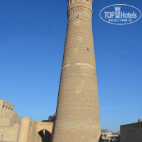 фото из отзыва ID 2735744