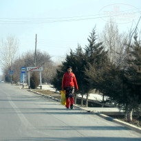 фото из отзыва ID 2735744