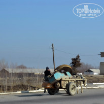 фото из отзыва ID 2735744