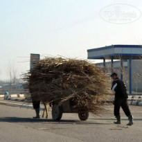 фото из отзыва ID 2735744