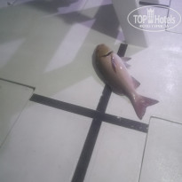 фото из отзыва ID 2737380