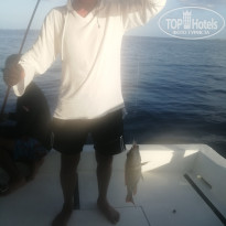 фото из отзыва ID 2737380