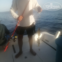 фото из отзыва ID 2737380