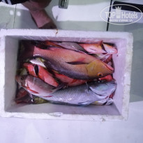 фото из отзыва ID 2737380