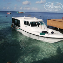 фото из отзыва ID 2737380