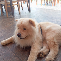 фото из отзыва ID 2735086