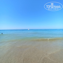 фото из отзыва ID 2735086