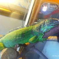 фото из отзыва ID 2735086