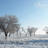 фото из отзыва ID 2735745