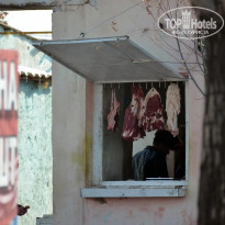 фото из отзыва ID 2735745