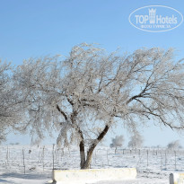 фото из отзыва ID 2735745