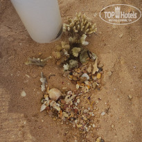 фото из отзыва ID 2738882