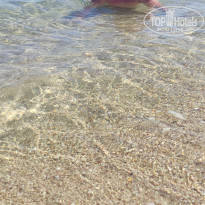 фото из отзыва ID 2738882