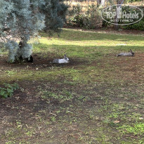 фото из отзыва ID 2739321