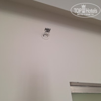 фото из отзыва ID 2739649