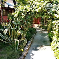 фото из отзыва ID 2732464