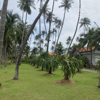 фото из отзыва ID 2740956