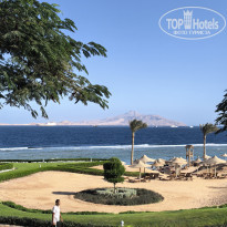 фото из отзыва ID 2740007