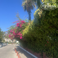 фото из отзыва ID 2740010