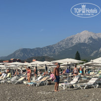 фото из отзыва ID 2740010