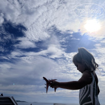 фото из отзыва ID 2740020