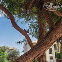 фото из отзыва ID 2740021