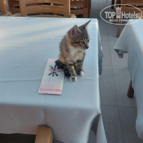 фото из отзыва ID 2740029