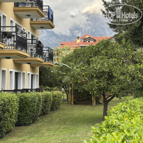 фото из отзыва ID 2740039