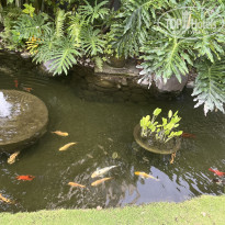 фото из отзыва ID 2740047