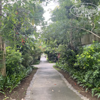 фото из отзыва ID 2740047