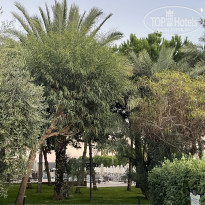 фото из отзыва ID 2740031