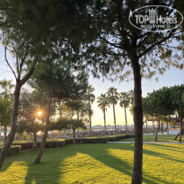 фото из отзыва ID 2740031