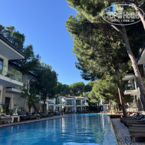 фото из отзыва ID 2740031