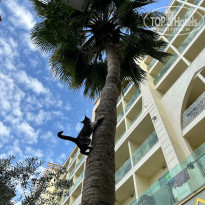 фото из отзыва ID 2740053