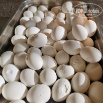 фото из отзыва ID 2740062