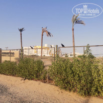 фото из отзыва ID 2740062