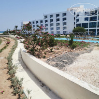 фото из отзыва ID 2740062