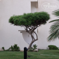 фото из отзыва ID 2740068