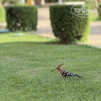 фото из отзыва ID 2740069