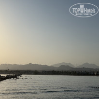 фото из отзыва ID 2740069