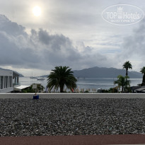 фото из отзыва ID 2740076