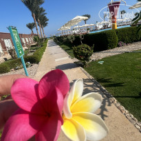 фото из отзыва ID 2740092