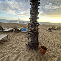 фото из отзыва ID 2740091