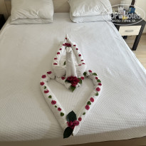 фото из отзыва ID 2740091