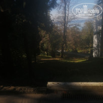 фото из отзыва ID 2740093