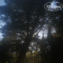 фото из отзыва ID 2740093