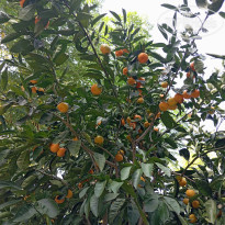 фото из отзыва ID 2740094